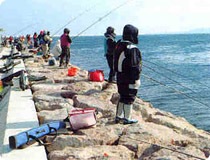 [Pohang Offing Fishing Ground[5].jpg]