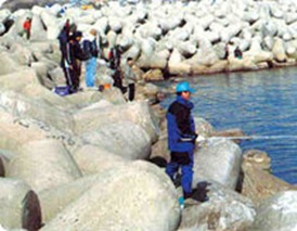 Pohang Guryongpo Pier Fishing Ground