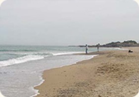 Yeongdeok Jangsa Beach 01