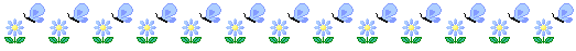 flr.png