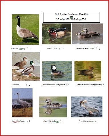 [bird spotters guide[11].jpg]