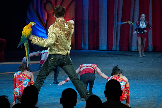 Magic Circus Hotel Disneyland Paris Magic Circus Hotel Disneyland Paris