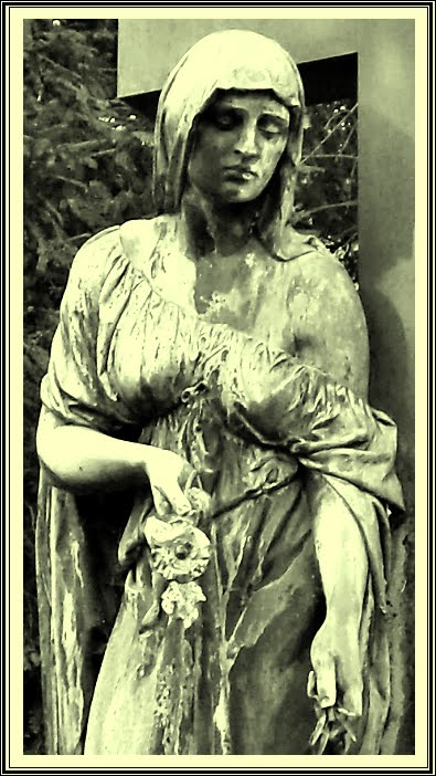 SDC19084.JPG