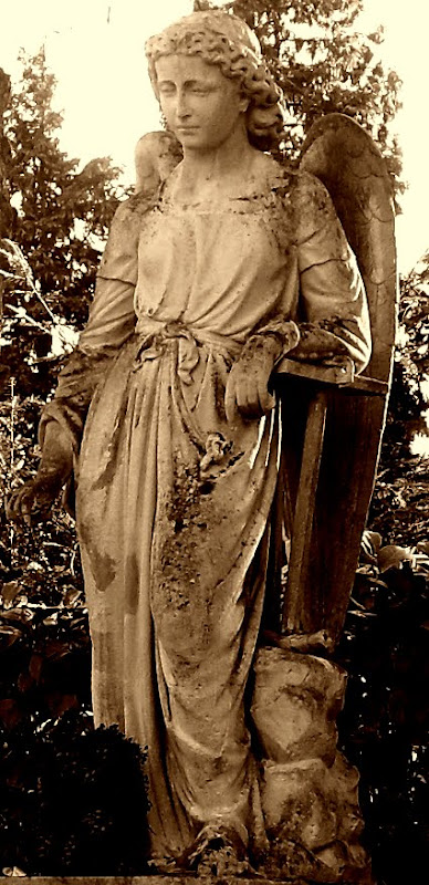 SDC19158.JPG