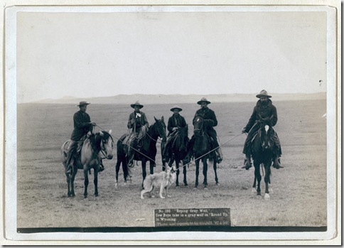 Title: "Roping gray wolf," Cowboys take in a gray wolf on "Round up," in Wyoming
Five cowboys on horses roping a wolf. 1887.
Repository: Library of Congress Prints and Photographs Division Washington, D.C. 20540