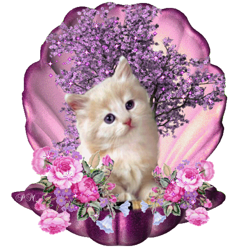bestgif_narod_ru_568.gif
