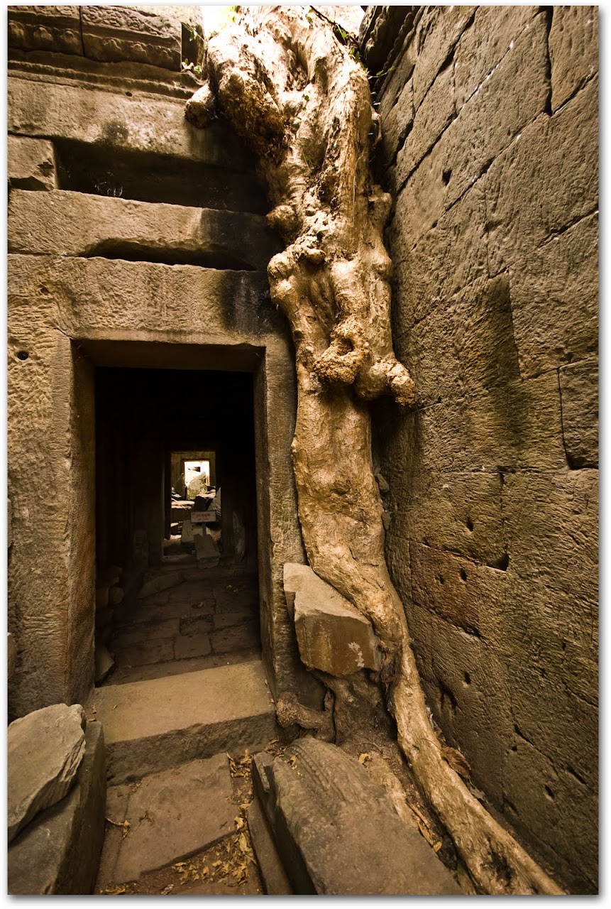 How To Avoid Temple Fatigue The Road Forks Travel And Food Blog