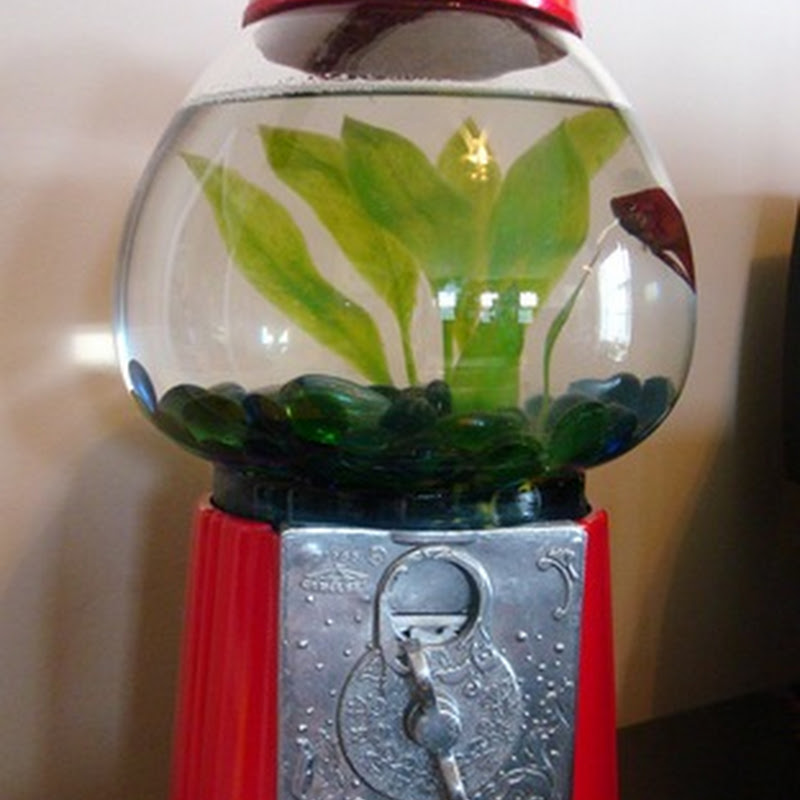 RIP Squishy (and come see me!)