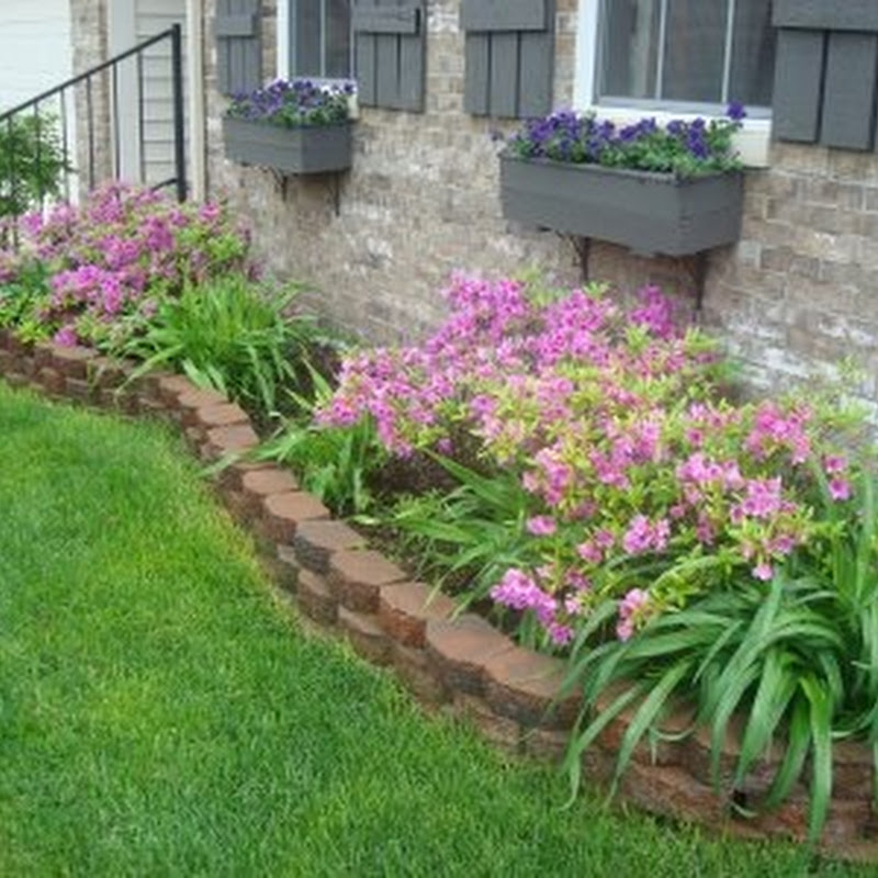 How does your garden grow?
