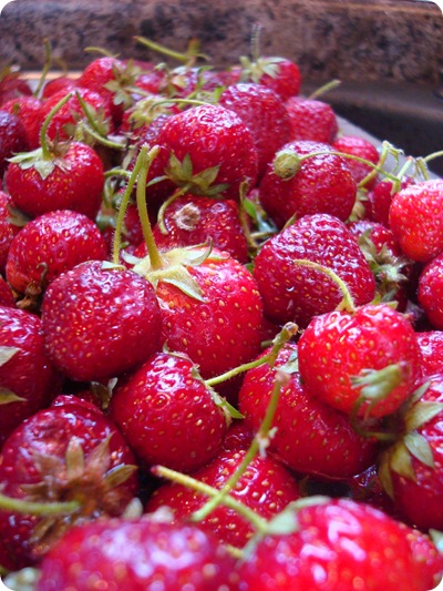 Homemade strawberry jam recipe 