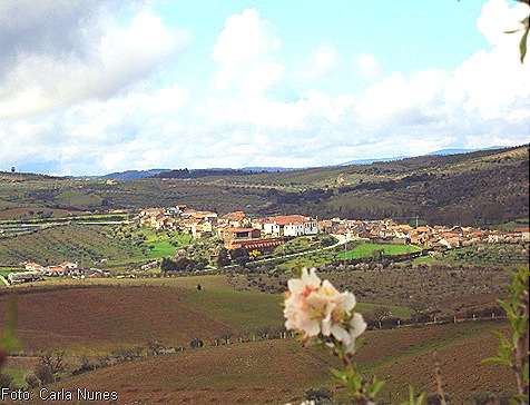 Foto de Castelo Branco com flores de amendoeira