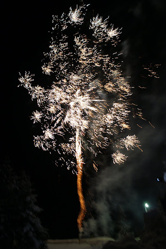 DSC01363.JPG