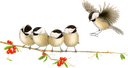 144%20-%20C%C3%B3pia.png