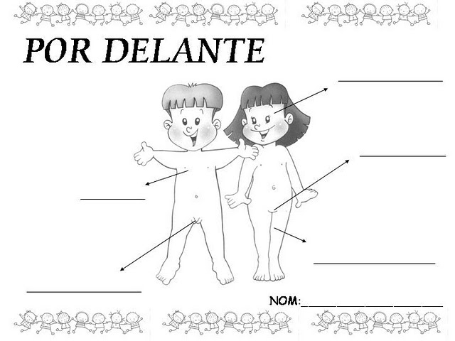 Fichas Partes Del Cuerpo Humano Para Imprimir