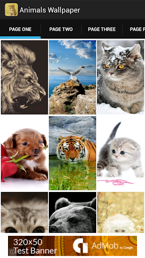 Animals Wallpaper