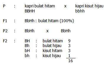 [image[16].png]