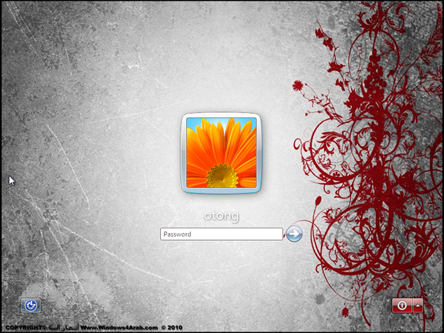 [image8.png]