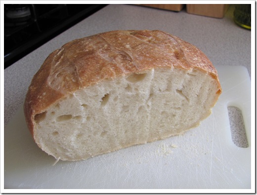 Tamdoll sourdough bread february