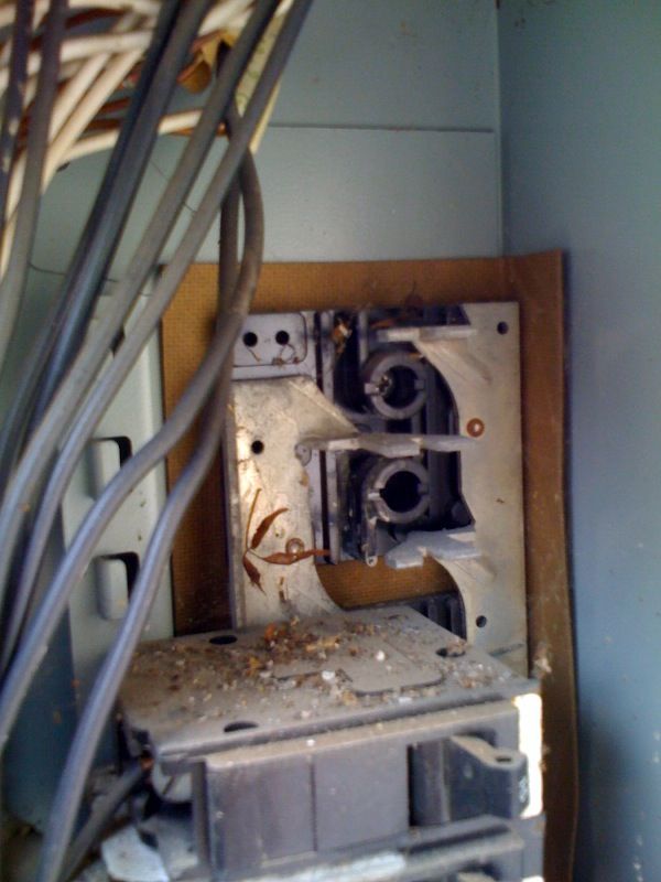 panel1.jpg