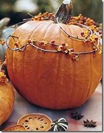 pumpkins-and-vinesstarycreekprimitives.blogspot.com