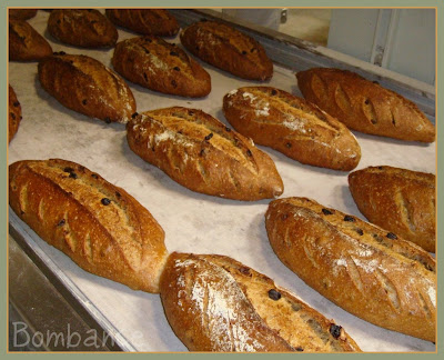 recettes ... et la photo Bonus !