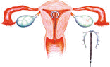 clip_image017