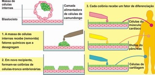 clip_image004