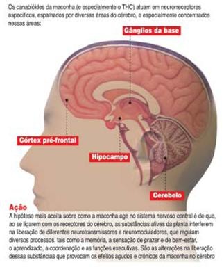 clip_image004