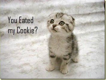 eated_my_cookie