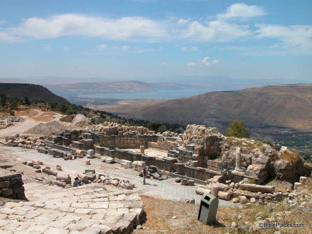 [Gadara nymphaeum, tb060503129[4].jpg]