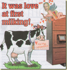 cow ad 2