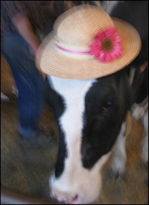 easter bonnet cow