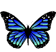 000.png