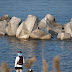 DA 50-200mm F4-5.6 ED