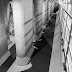 IMGP0145.jpg