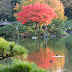 DA 70mm F2.4 Limited