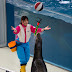 DA 55-300mm F4-5.8ED