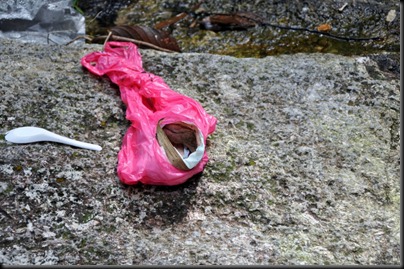 Sanitary Pad left at the side of the falls
