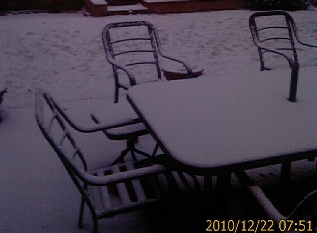 [Snow again[4].jpg]