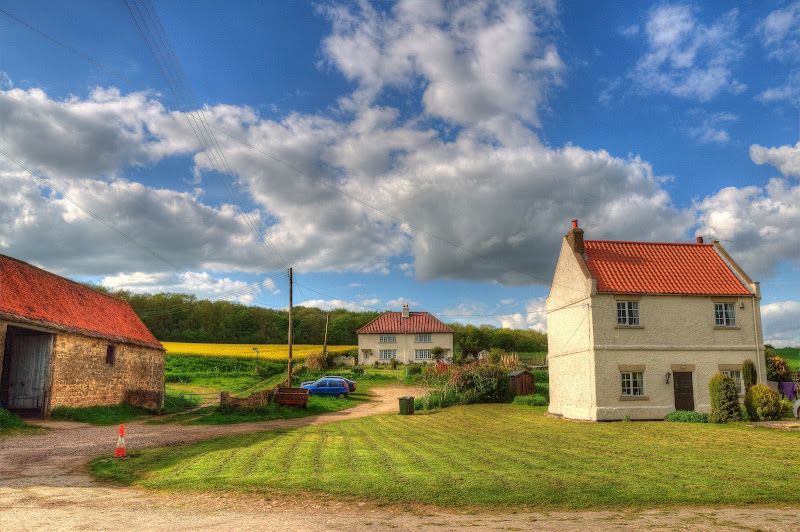 White%20Houses%20366%20enh.jpg