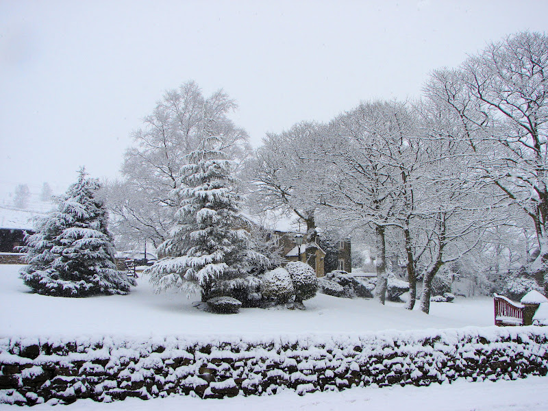 Snow%20House.jpg