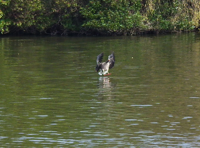 SplashDown%20509-3.jpg