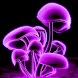 3D mushrooms