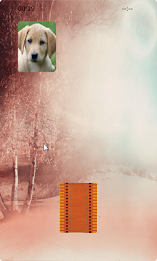 Dogs Matching poster 3