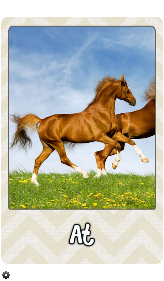 Bebek Kartları Hayvanlar Alemi Android Apps on Google Play