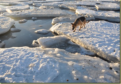 DSC_0348 DSC_0348