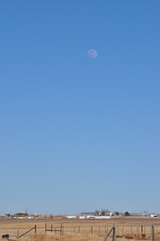 [02-15-11 moon 03[3].jpg]