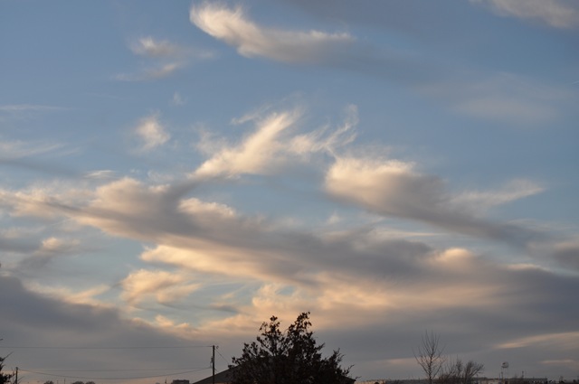 [02-15-11 sky and geese 26[2].jpg]
