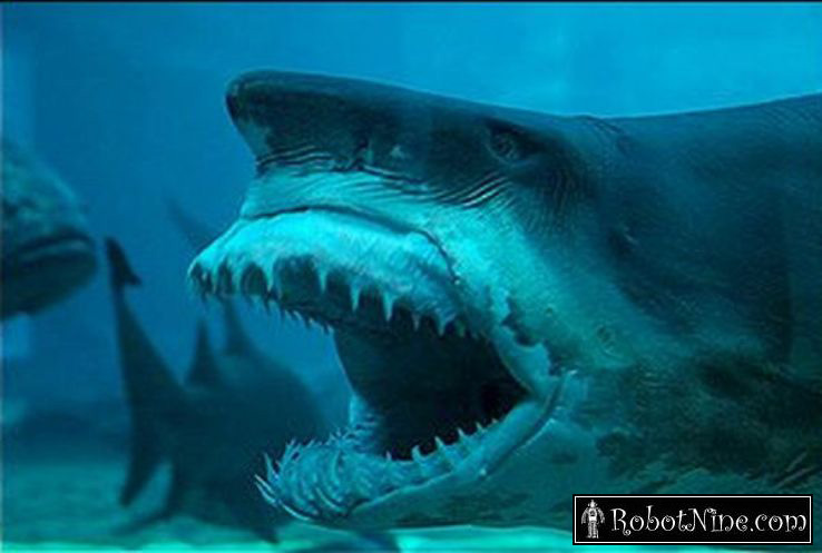 Scary Sharks Lessons Tes Teach Scary Sharks Lessons Tes Teach