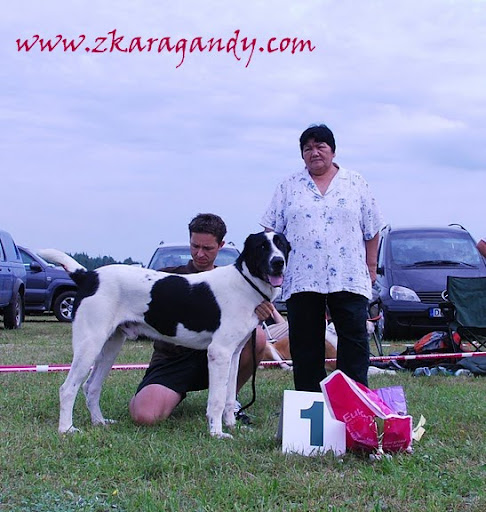 DSC_0929.JPG